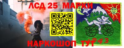 СК Рыбинск