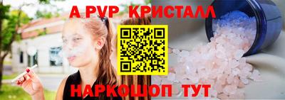 СК Рыбинск