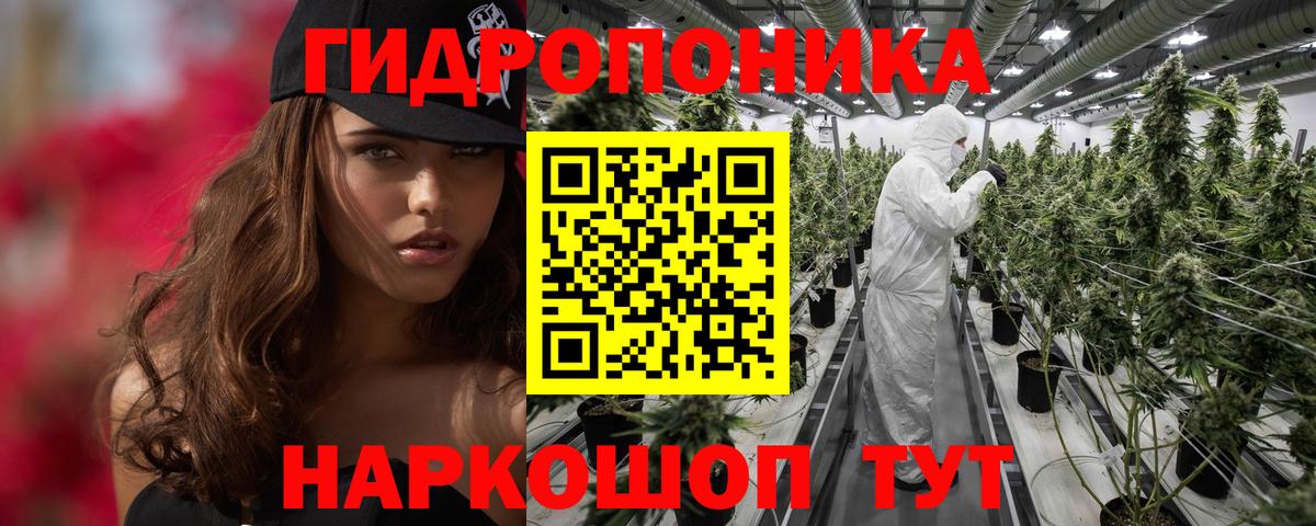 Семёнов  Канабис OG Kush  Бошки марихуана семена  Бошки Шишки LSD WEED  МАРИХУАНА ГИДРОПОН  Вход с VPN 